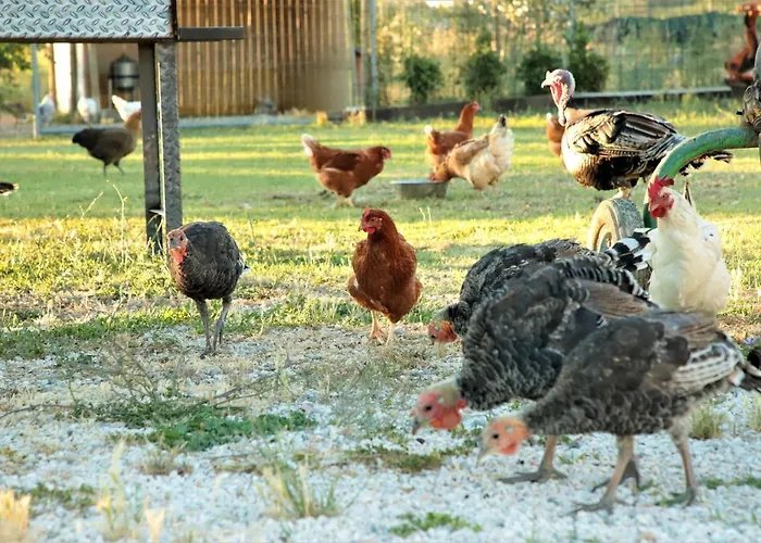 Tre Di Spade Farmház