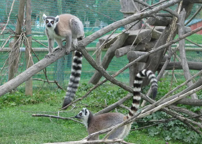 Tre Di Spade Farmház