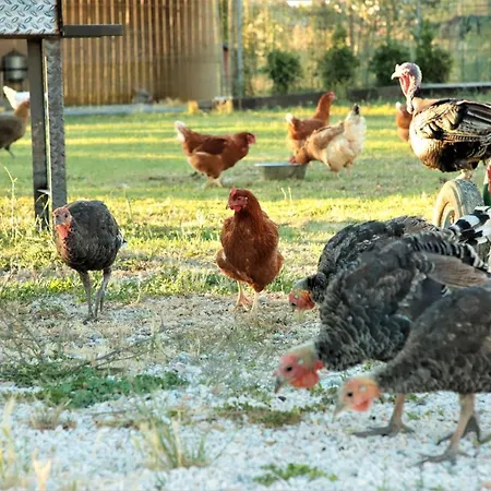 Tre Di Spade Farm stay