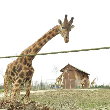 Farm stay Tre Di Spade