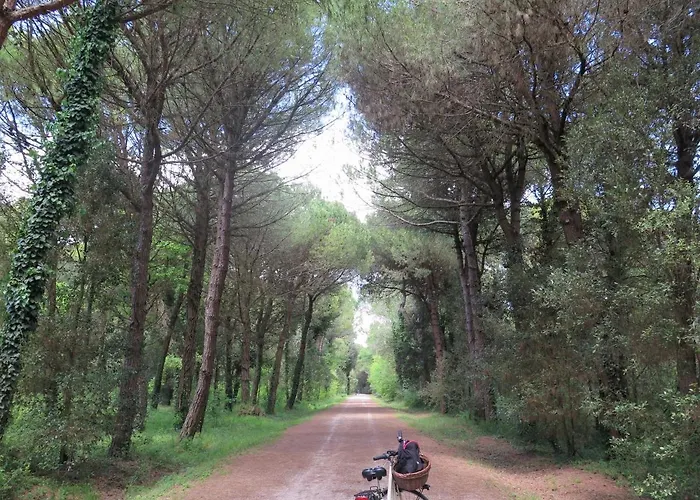 Tre Di Spade Farma Savio di Ravenna